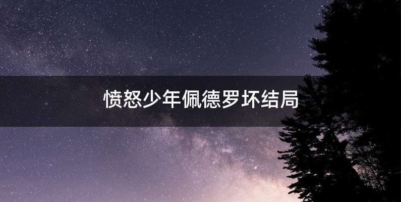 愤怒少年佩德罗坏结局