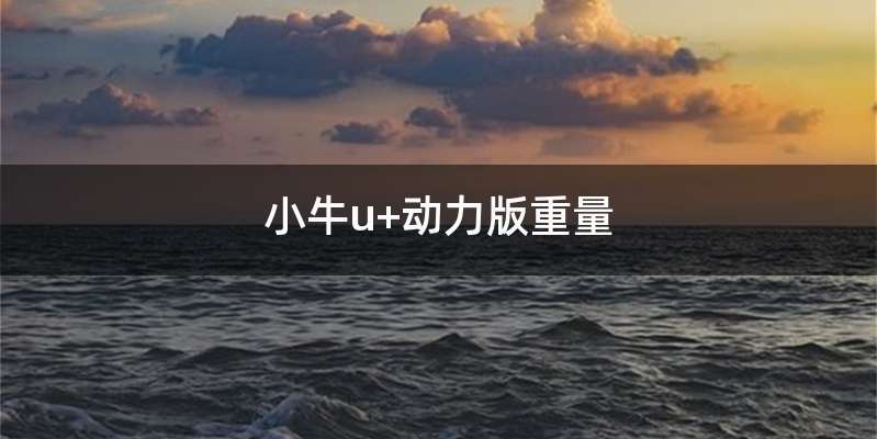 小牛u+动力版重量