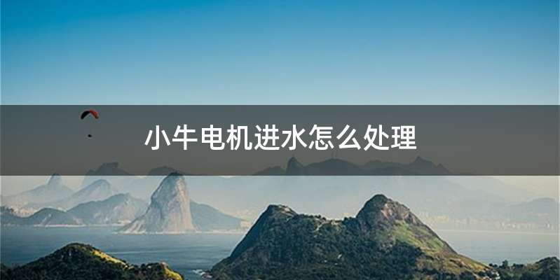 小牛电机进水怎么处理