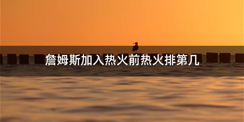 詹姆斯加入热火前热火排第几