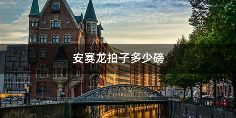 安赛龙拍子多少磅