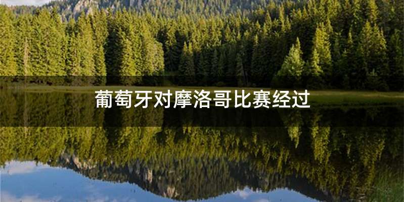 葡萄牙对摩洛哥比赛经过