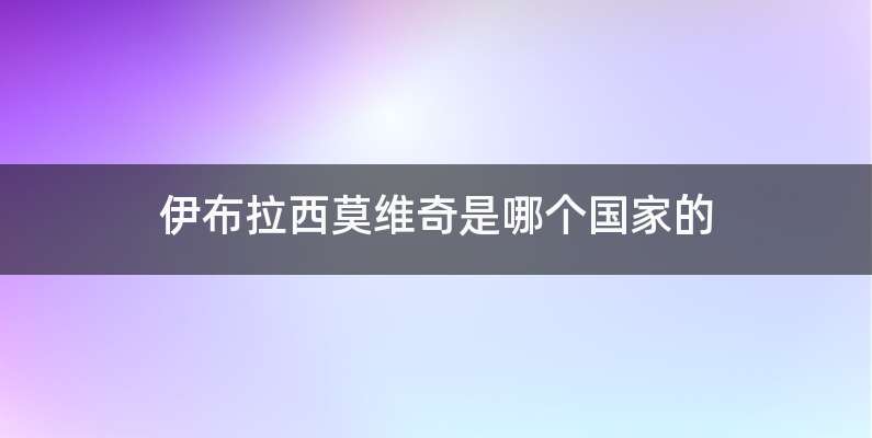 伊布拉西莫维奇是哪个国家的