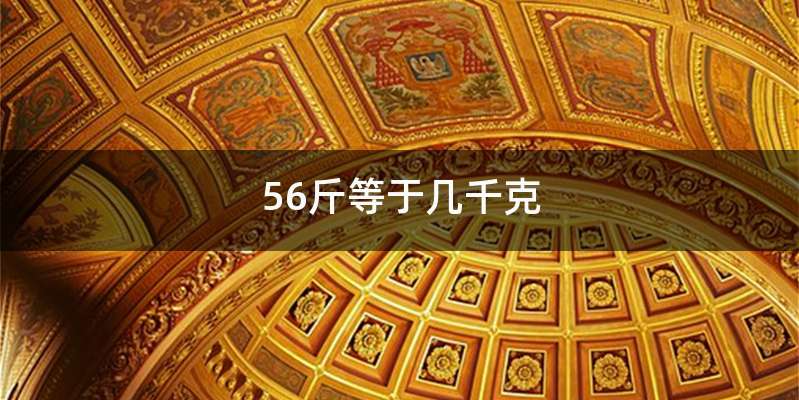 56斤等于几千克