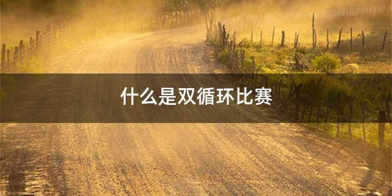 什么是双循环比赛