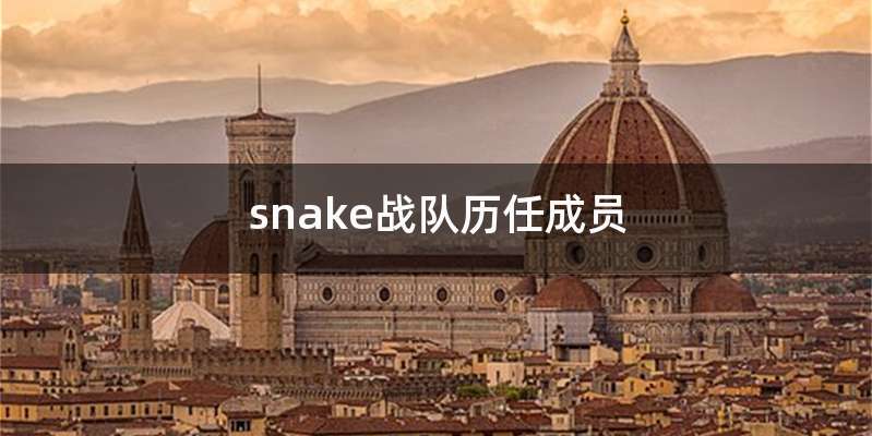 snake战队历任成员