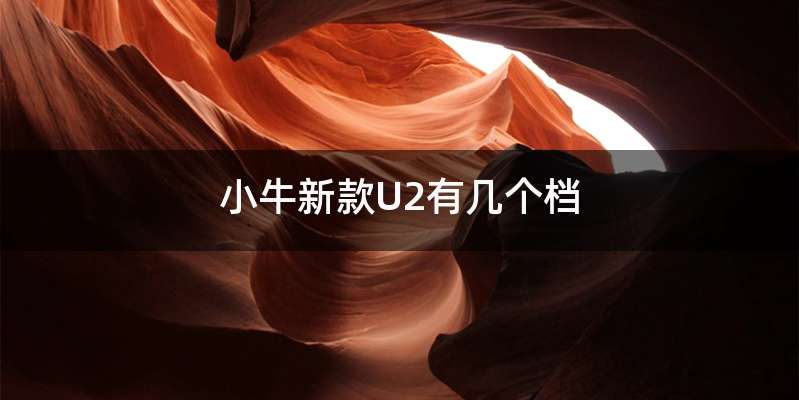 小牛新款U2有几个档