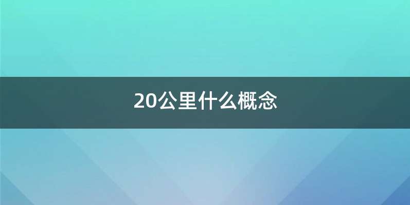 20公里什么概念