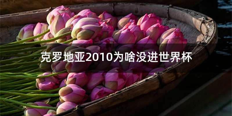 克罗地亚2010为啥没进世界杯