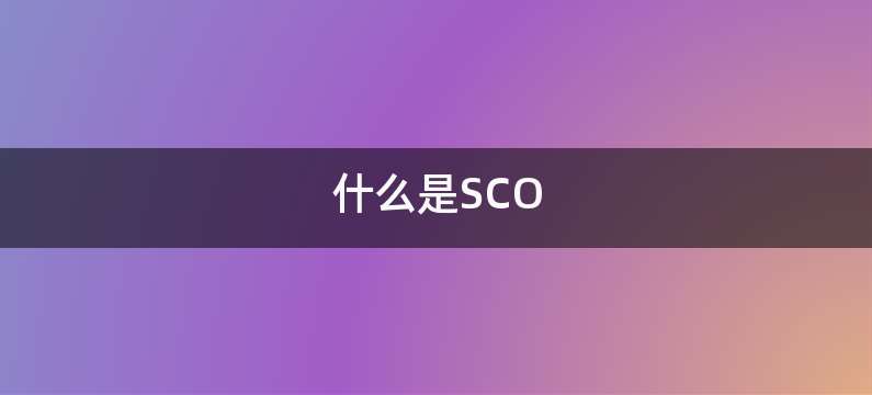 什么是SCO