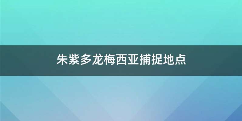 朱紫多龙梅西亚捕捉地点