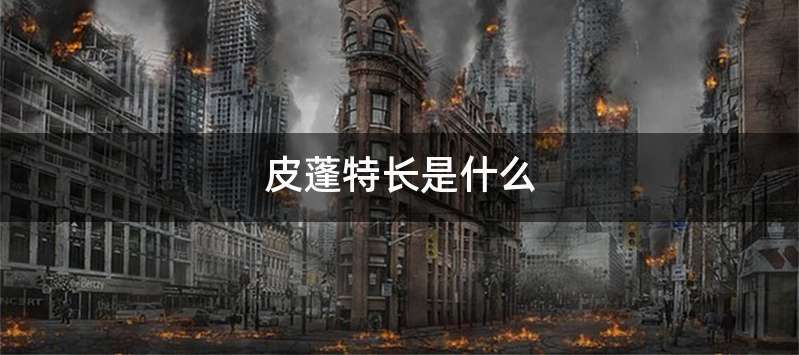 皮蓬特长是什么