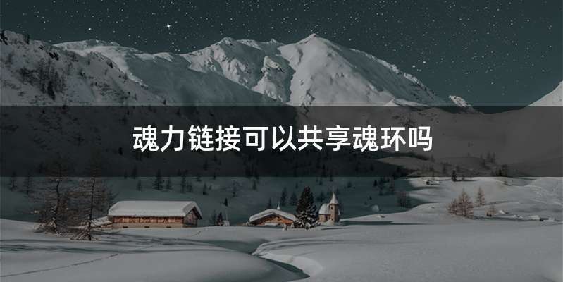魂力链接可以共享魂环吗