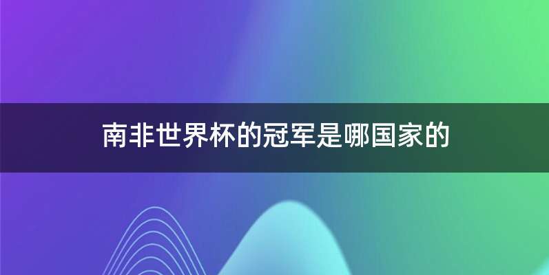 南非世界杯的冠军是哪国家的