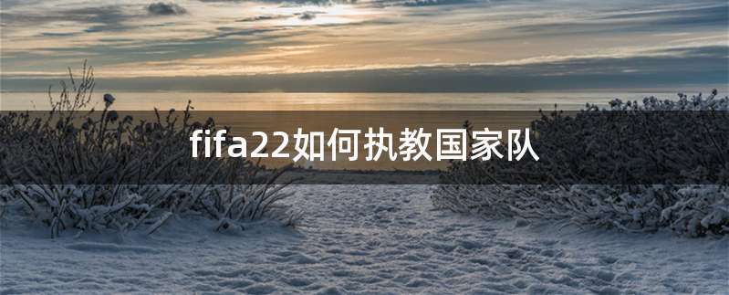 fifa22如何执教国家队