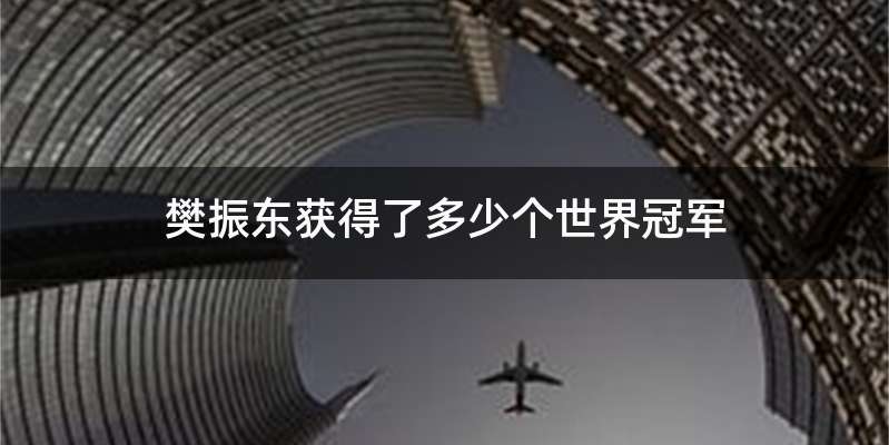 樊振东获得了多少个世界冠军