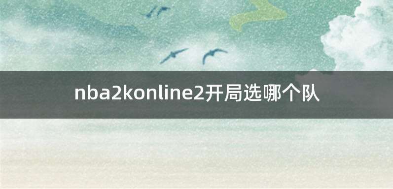 nba2konline2开局选哪个队