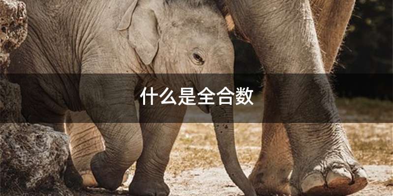 什么是全合数