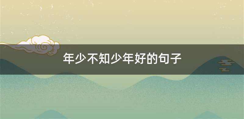 年少不知少年好的句子