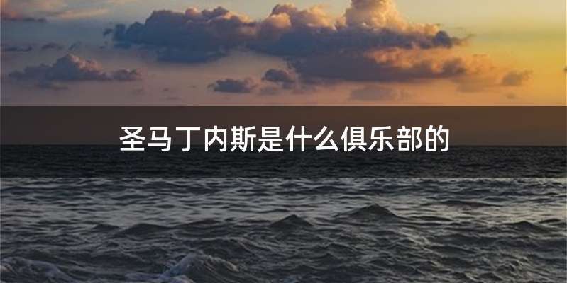 圣马丁内斯是什么俱乐部的