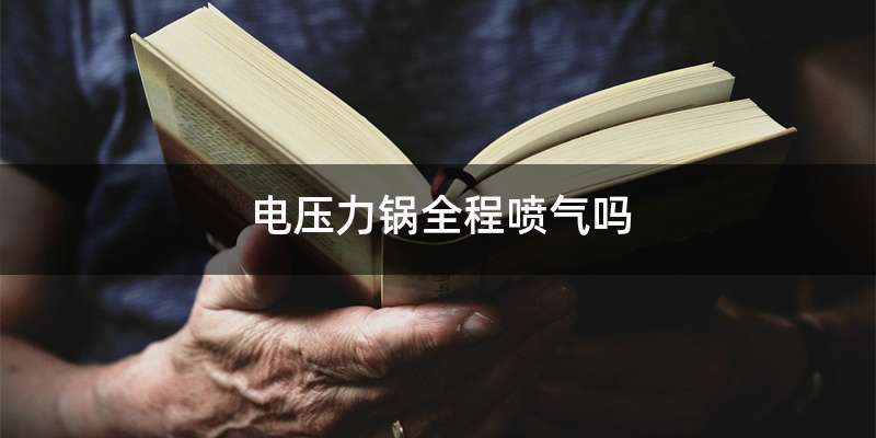 电压力锅全程喷气吗