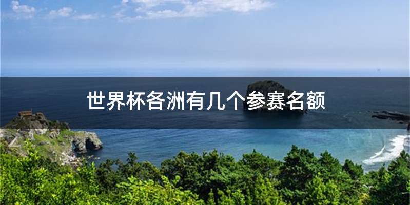 世界杯各洲有几个参赛名额