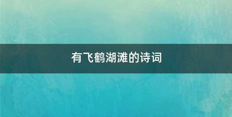 有飞鹤湖滩的诗词