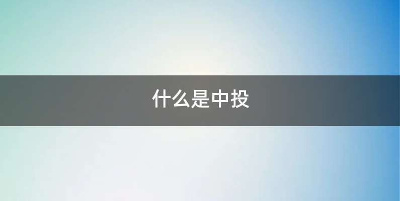 什么是中投