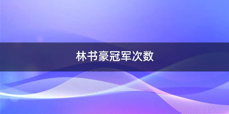 林书豪冠军次数