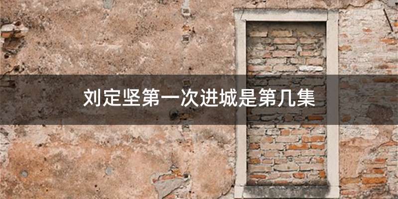 刘定坚第一次进城是第几集