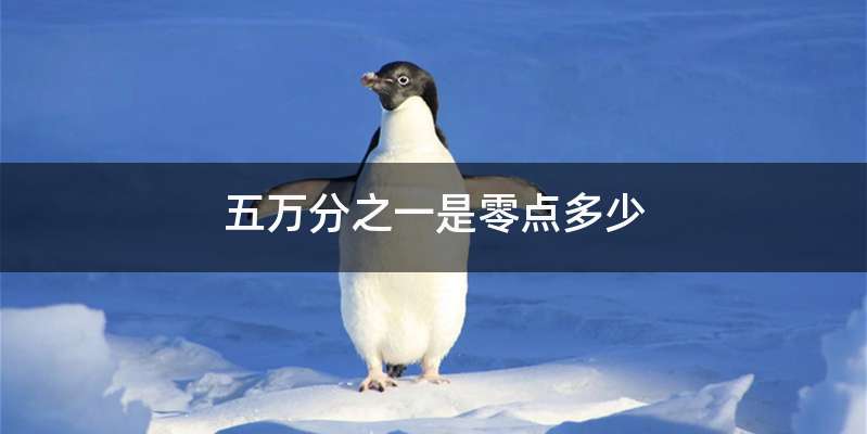 五万分之一是零点多少