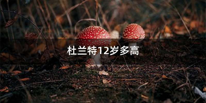 杜兰特12岁多高