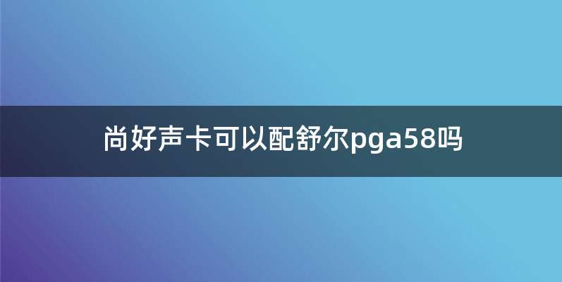 尚好声卡可以配舒尔pga58吗
