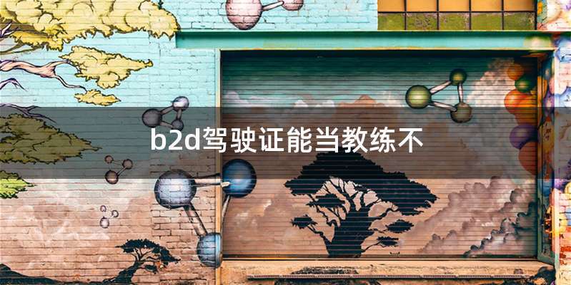 b2d驾驶证能当教练不