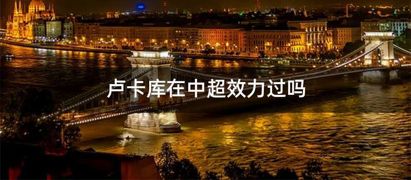 卢卡库在中超效力过吗