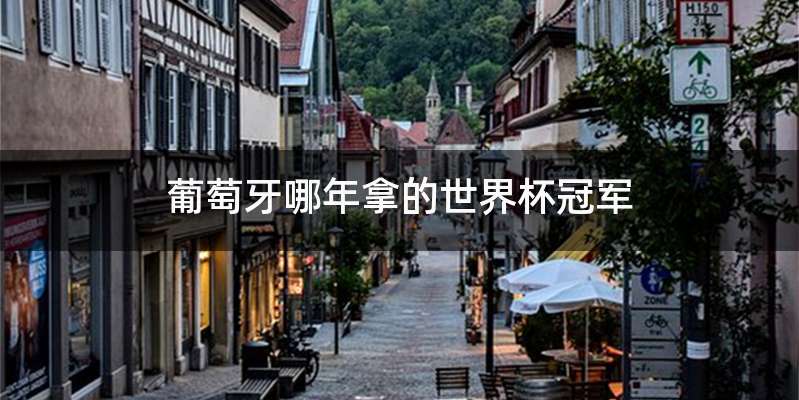 葡萄牙哪年拿的世界杯冠军