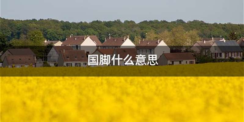 国脚什么意思