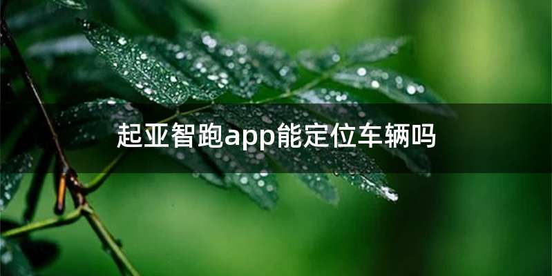 起亚智跑app能定位车辆吗