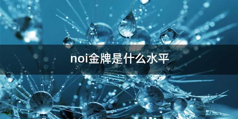 noi金牌是什么水平