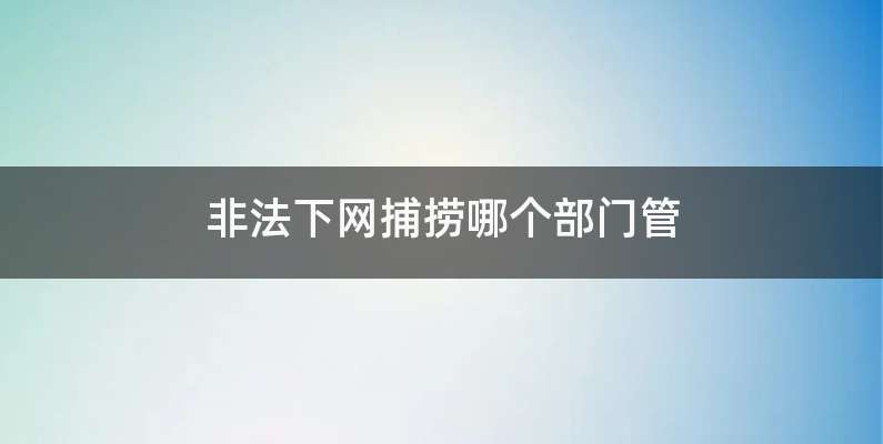 非法下网捕捞哪个部门管