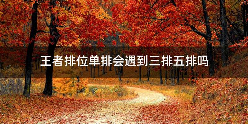 王者排位单排会遇到三排五排吗