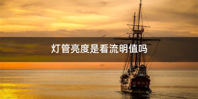 灯管亮度是看流明值吗