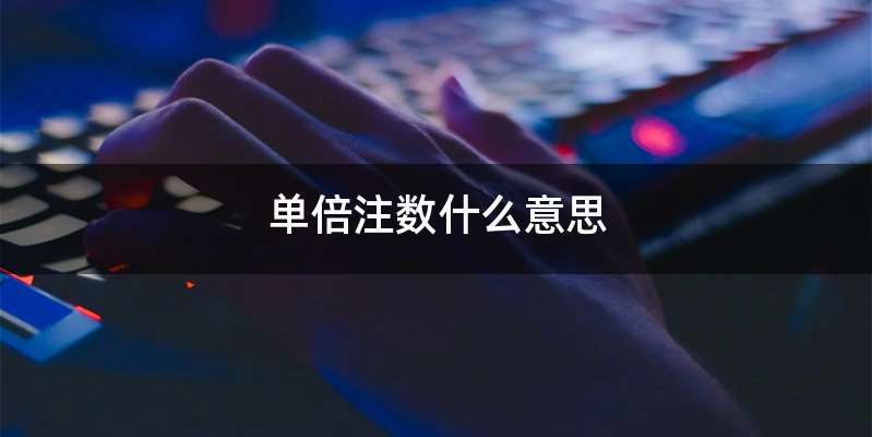 单倍注数什么意思