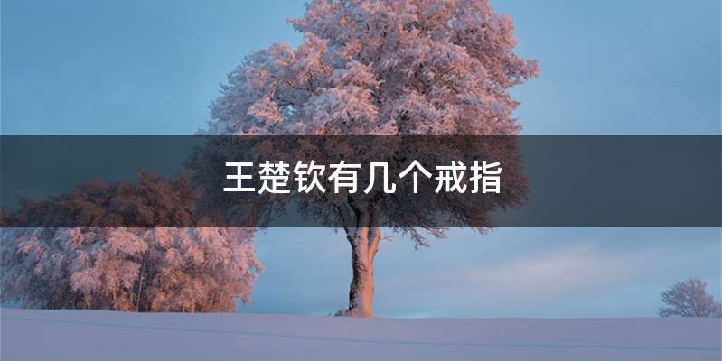 王楚钦有几个戒指