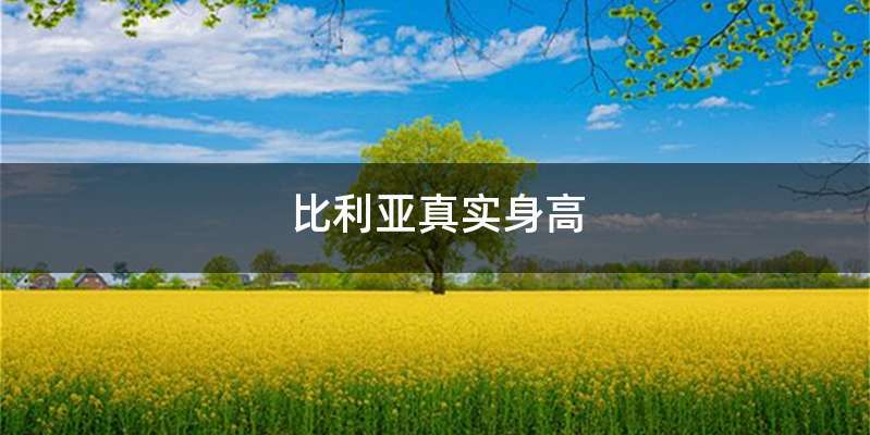 比利亚真实身高