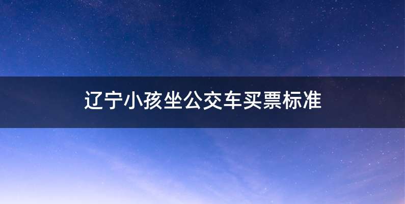 辽宁小孩坐公交车买票标准