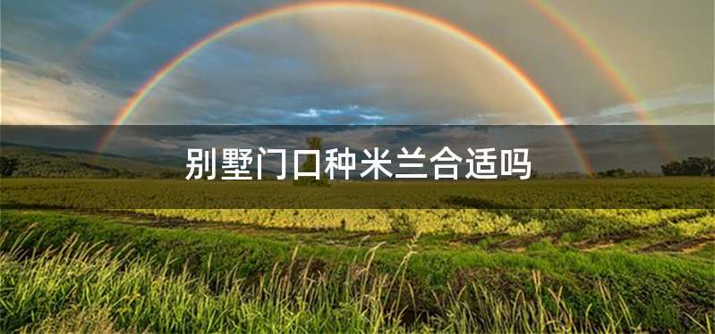 别墅门口种米兰合适吗