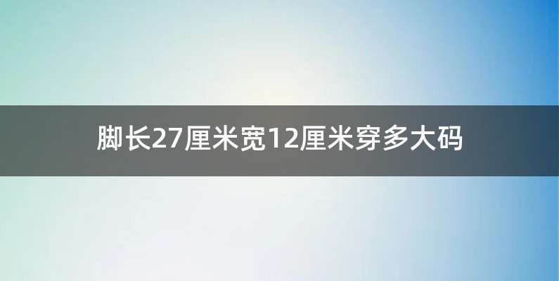脚长27厘米宽12厘米穿多大码
