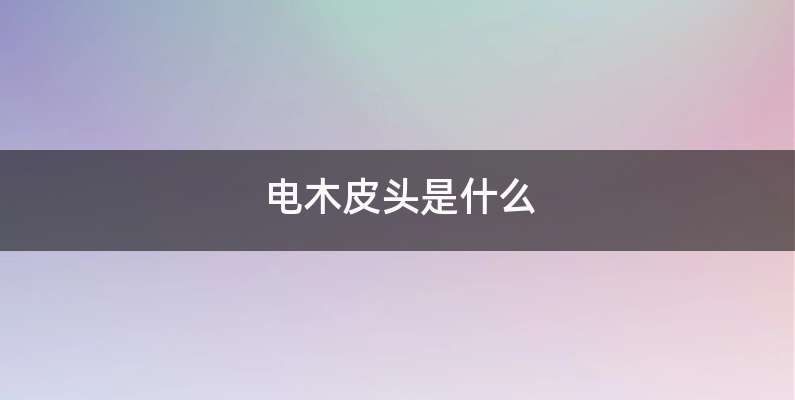 电木皮头是什么