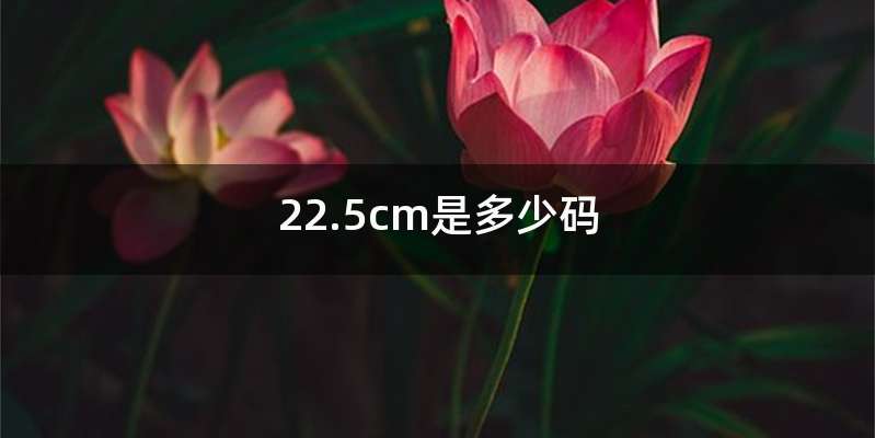 22.5cm是多少码